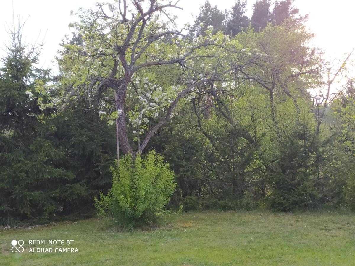 Dolistowka: Apartamenty z Jacuzzi, Ogrodem i Placem Zabaw Goniadz Exterior photo